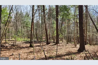1605 Paddys Run Road, Star Tannery, VA 22654 - Photo 6