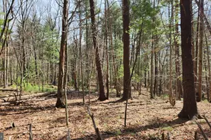 1605 Paddys Run Rd, Star Tannery, VA 22654 - Photo 6