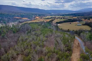 1605 Paddys Run Rd, Star Tannery, VA 22654 - Photo 24