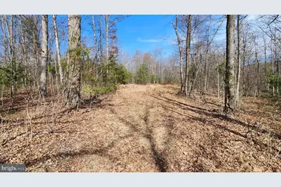 1605 Paddys Run Road, Star Tannery, VA 22654 - Photo 12