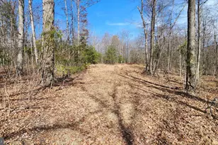 1605 Paddys Run Rd, Star Tannery, VA 22654 - Photo 12