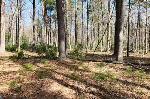 1605 Paddys Run Rd, Star Tannery, VA 22654 - Photo 14