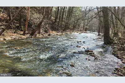 1605 Paddys Run Road, Star Tannery, VA 22654 - Photo 10