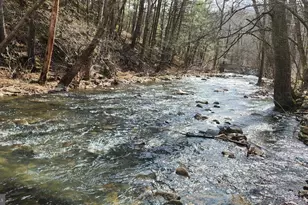 1605 Paddys Run Rd, Star Tannery, VA 22654 - Photo 10