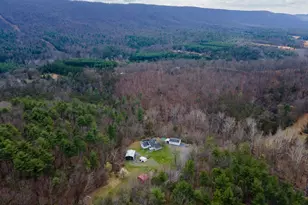 1605 Paddys Run Rd, Star Tannery, VA 22654 - Photo 1