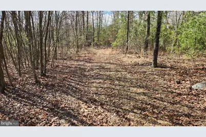 1605 Paddys Run Road, Star Tannery, VA 22654 - Photo 8