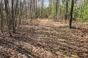 1605 Paddys Run Rd, Star Tannery, VA 22654 - Photo 8