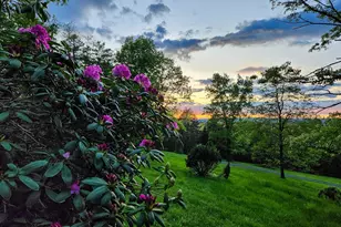 188 New Market Reservoir Rd, New Market, VA 22844 - Photo 6