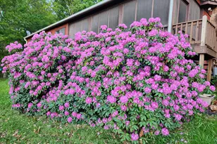 188 New Market Reservoir Rd, New Market, VA 22844 - Photo 62