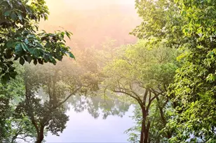 74 Manor Dr, Edinburg, VA 22824 - Photo 70