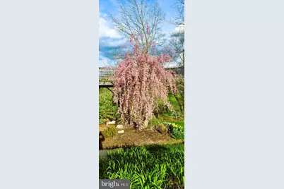 74 Manor Drive, Edinburg, VA 22824 - Photo 58