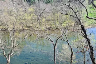 74 Manor Dr, Edinburg, VA 22824 - Photo 68