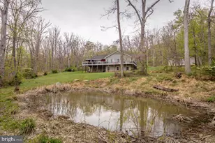 550 Mash Ln, Edinburg, VA 22824 - Photo 40