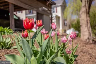 143 Scheffer Gap Rd, Maurertown, VA 22644 - Photo 46