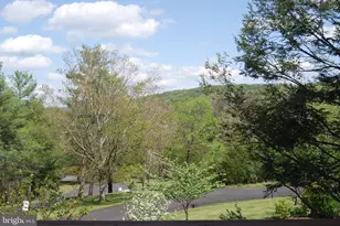 141 The Hill, Basye, VA 22810 - Photo 4