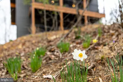 1034 Greenview, Basye, VA 22810 - Photo 68