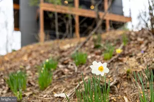 1034 Greenview, Basye, VA 22810 - Photo 68