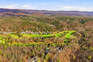 1034 Greenview, Basye, VA 22810 - Photo 84