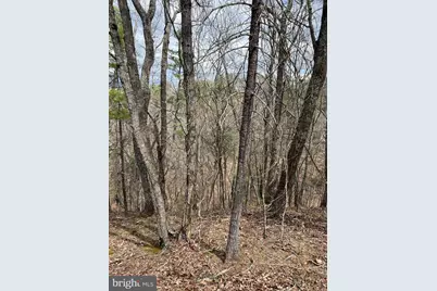 0 Valley View, Basye, VA 22810 - Photo 2