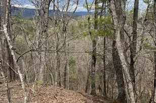 0 Valley View, Basye, VA 22810 - Photo 1