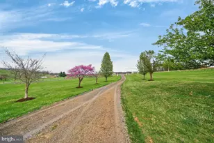 363 Davis Ln, New Market, VA 22844 - Photo 18