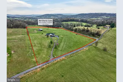 363 Davis Lane, New Market, VA 22844 - Photo 12