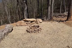 859 Mountain Slope Ln, Fort Valley, VA 22652 - Photo 4