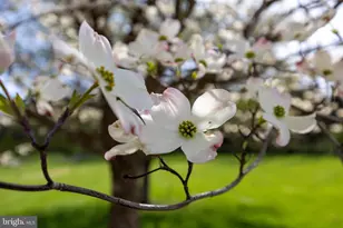 1008 Shipwreck Dr, New Market, VA 22844 - Photo 46