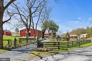 989 Swover Creek Rd, Edinburg, VA 22824 - Photo 126