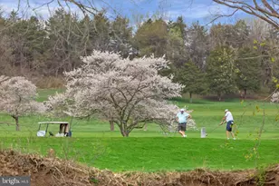 549 Arrowhead Ln, New Market, VA 22844 - Photo 32