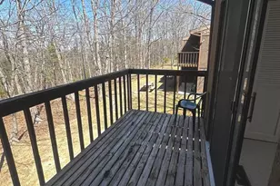 393 Spitz Ln, Basye, VA 22810 - Photo 48