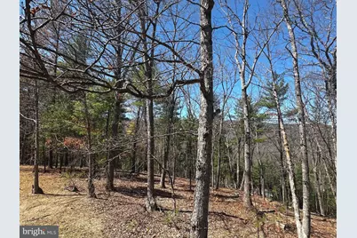 393 Spitz Lane #99, Basye, VA 22810 - Photo 76