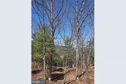 393 Spitz Lane #99, Basye, VA 22810 - Photo 50
