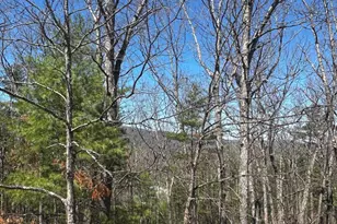 393 Spitz Ln, Basye, VA 22810 - Photo 50