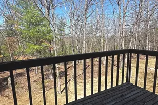 393 Spitz Ln, Basye, VA 22810 - Photo 52