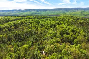 85 Pickett, Basye, VA 22810 - Photo 46