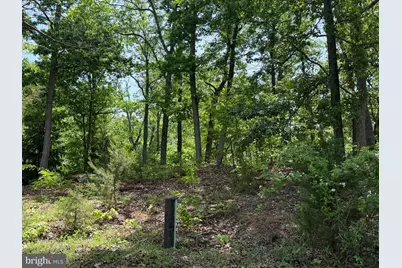 549 Mountain Laurel Drive, Mount Jackson, VA 22842 - Photo 26
