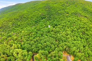 549 Mountain Laurel Dr, Mount Jackson, VA 22842 - Photo 40