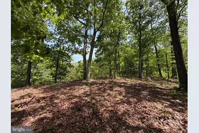 549 Mountain Laurel Drive, Mount Jackson, VA 22842 - Photo 24