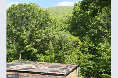 549 Mountain Laurel Drive, Mount Jackson, VA 22842 - Photo 22