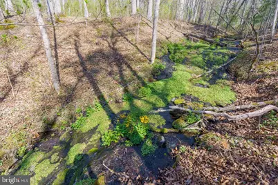 3336 Wolf Gap Road, Edinburg, VA 22824 - Photo 6