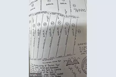 Lots 60 & 61 & 62 Alpine Way, Mount Jackson, VA 22842 - Photo 2