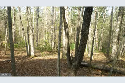 207 Sandpiper, Basye, VA 22810 - Photo 4