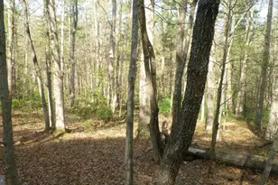 207 Sandpiper, Basye, VA 22810 - Photo 4