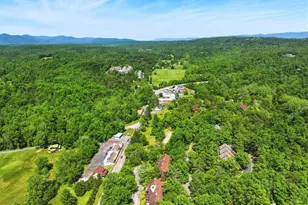 274 The Hill, Basye, VA 22810 - Photo 38