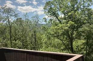 274 The Hill, Basye, VA 22810 - Photo 44