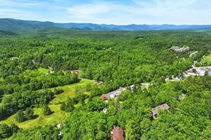274 The Hill, Basye, VA 22810 - Photo 42