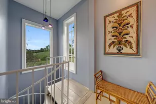 3691 Conicville Rd, Mount Jackson, VA 22842 - Photo 44