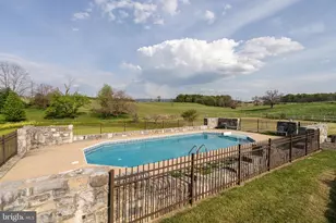 3691 Conicville Rd, Mount Jackson, VA 22842 - Photo 46
