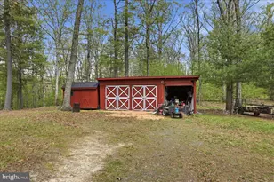 482 Boyer Rd, Fort Valley, VA 22652 - Photo 38